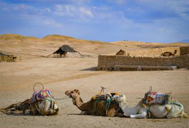 Agafay Desert , Quad Bike, Camel Ride and Dinner Show