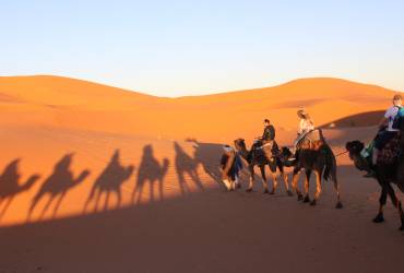 2 Days 1 Night Desert Adventure from Fes and Back